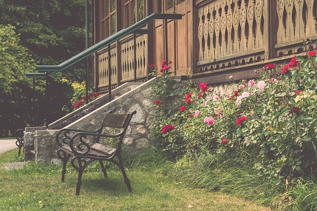 不仅仅是一 不仅仅是一