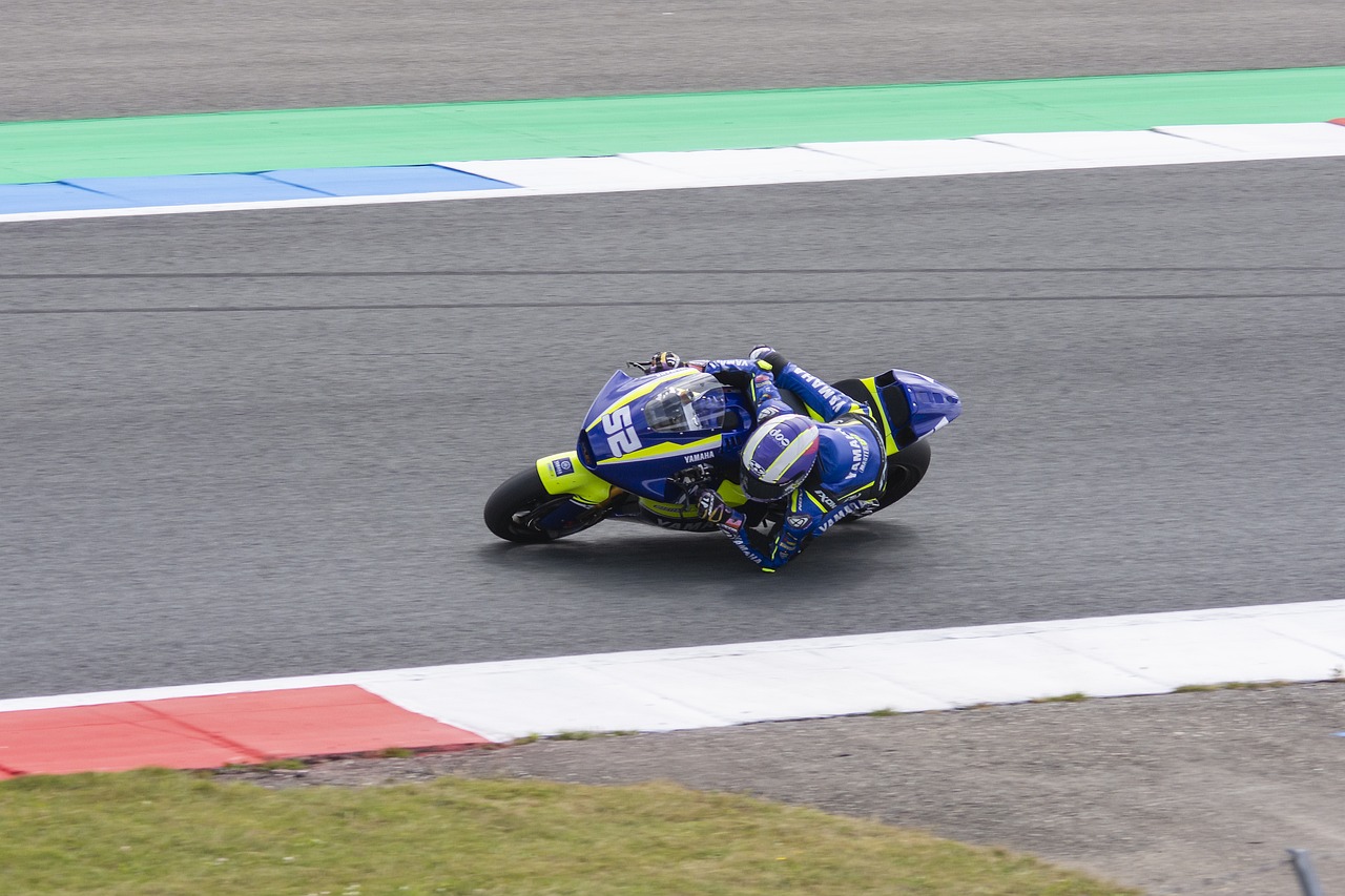 为他们在本 为他们在本