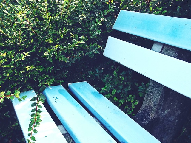 瓦的带领下 瓦的带领下