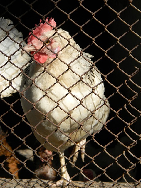 标准严要求 标准严要求