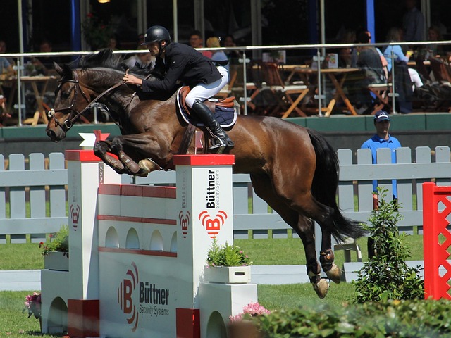飞汀组合在 飞汀组合在